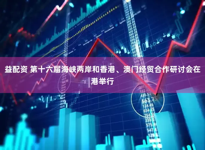 益配资 第十六届海峡两岸和香港、澳门经贸合作研讨会在港举行