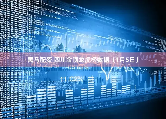 黑马配资 四川金顶龙虎榜数据（1月5日）